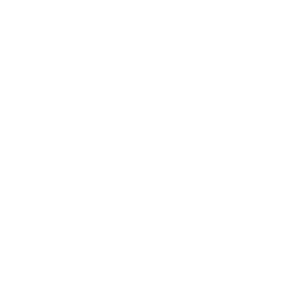 icon - dsgvo